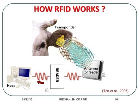 rfid chip implant for cattle|rfid for agriculture.